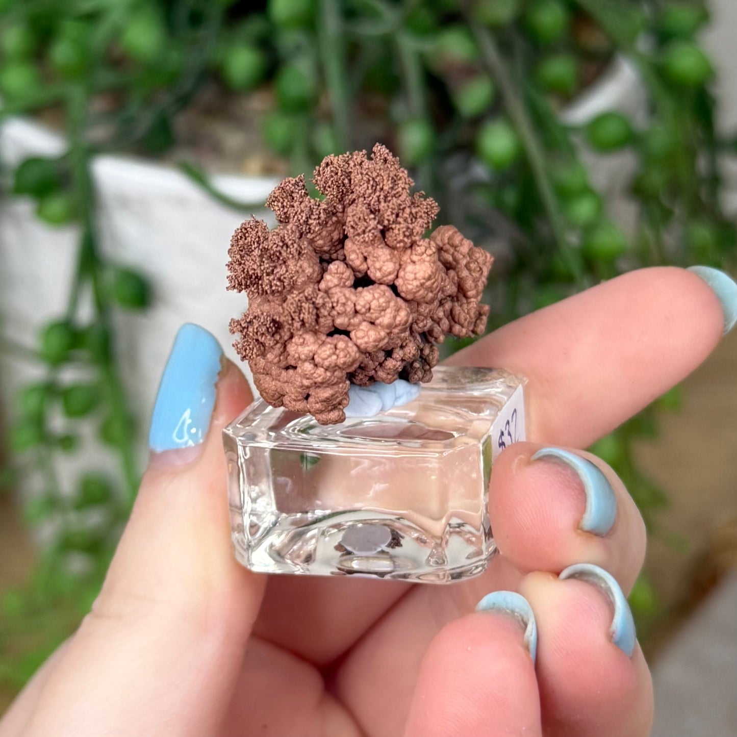 Copper Specimen (Z229)