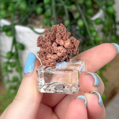 Copper Specimen (Z229)