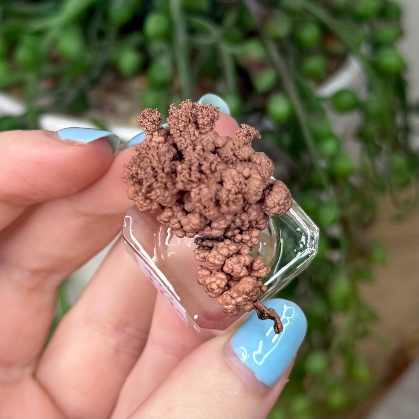Copper Specimen (Z229)