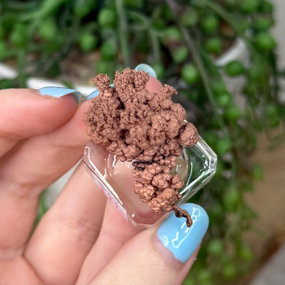 Copper Specimen (Z229)