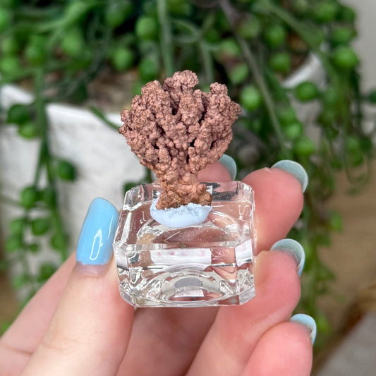 Copper Specimen (Z227)