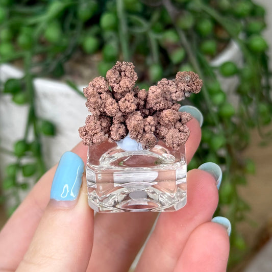 Copper Specimen (Z228)