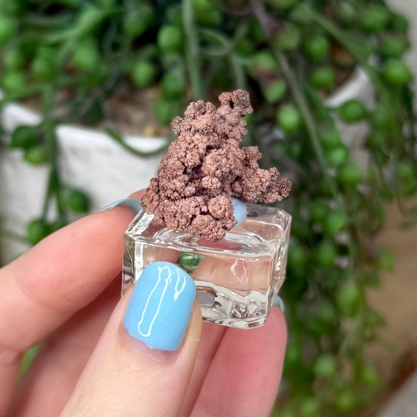 Copper Specimen (Z228)