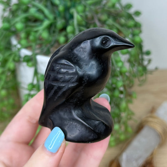 Black Obsidian Raven (Z199) (Z200)