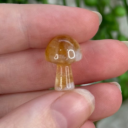 Citrine Mini Mushroom