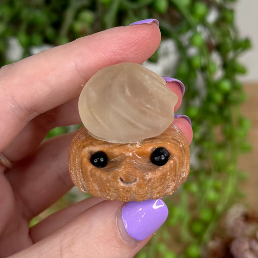 Jasper / Fluorite Cupcake Pet Rock (T332)