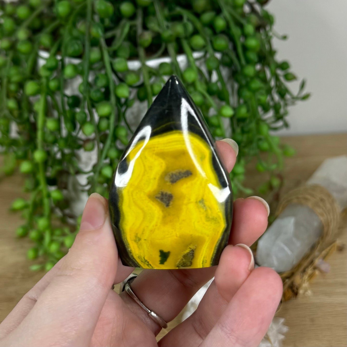 Bumble Bee Jasper Arch Free Form (O911)