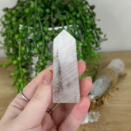 Dendrite In Quartz Point (O892)