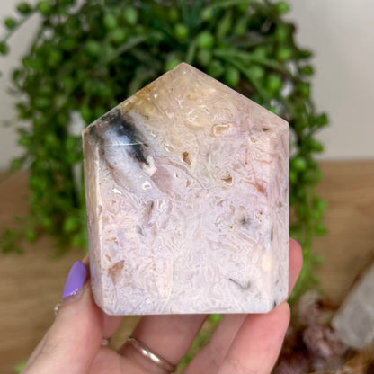 Plume Agate Domino Point (T532)