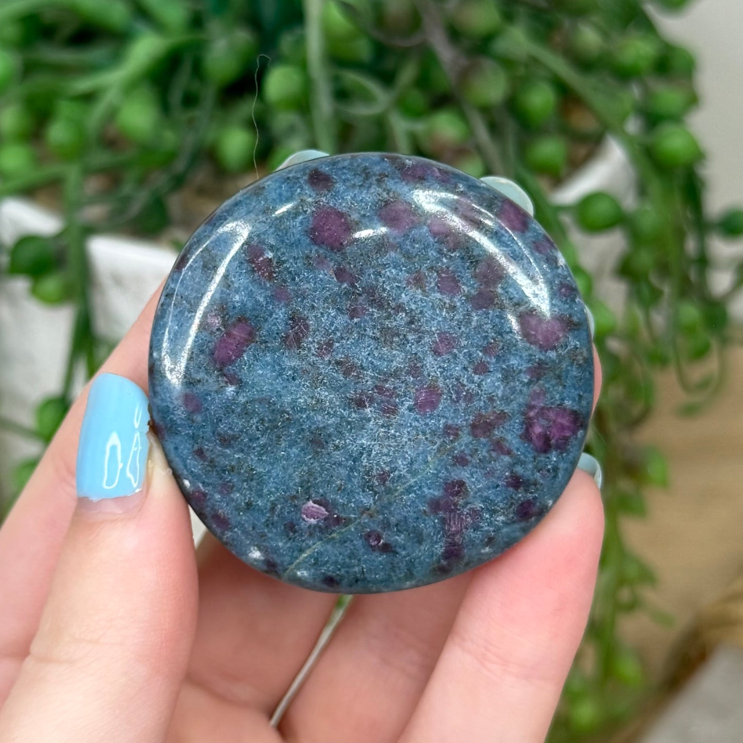 Ruby In Kyanite Flat Stone (Z157)