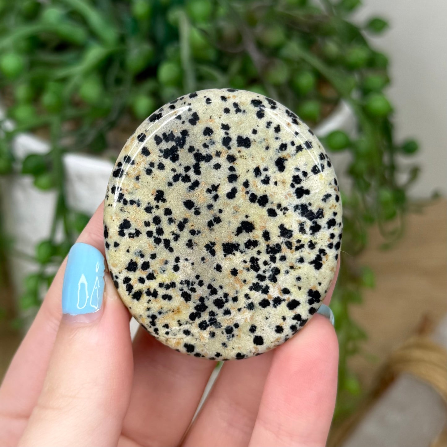 Dalmatian Jasper Flat Stone