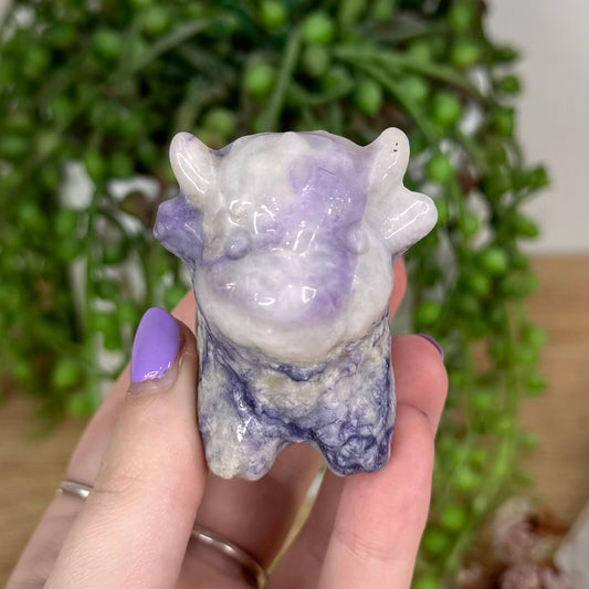Purple Jade Highland Cow (T485)