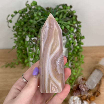Pink Agate Point (T221)