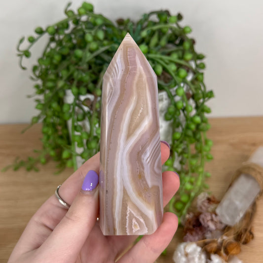 Pink Agate Point (T221)