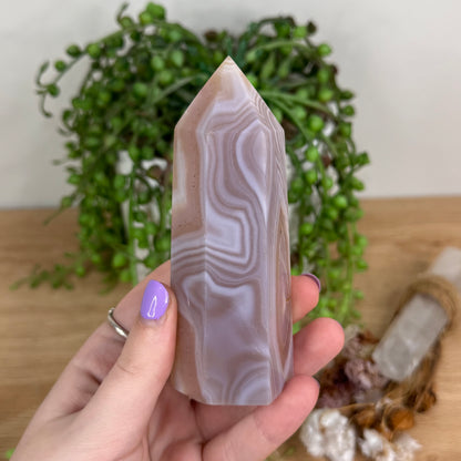 Pink Agate Point (T221)