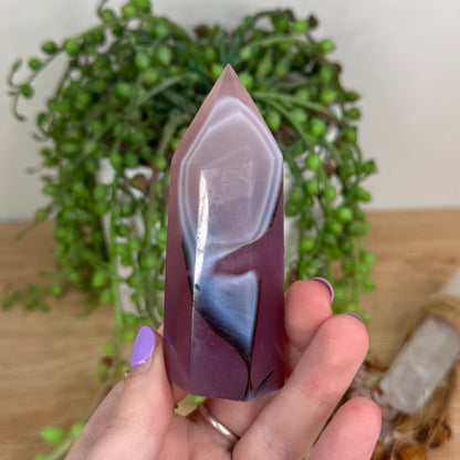 Pink Agate Point (T218)