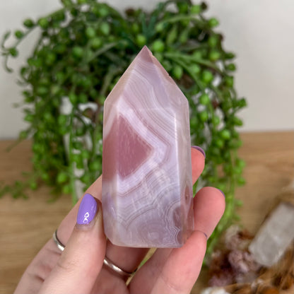Pink Agate Point (T216)