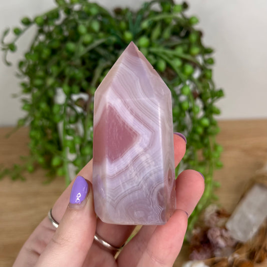 Pink Agate Point (T216)