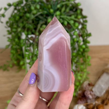 Pink Agate Point (T216)