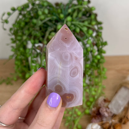 Pink Agate Point (T216)