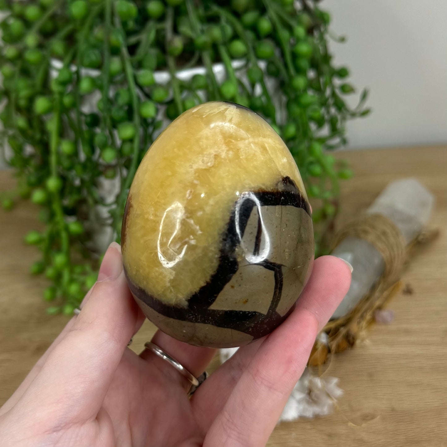 Septarian Egg (I350)