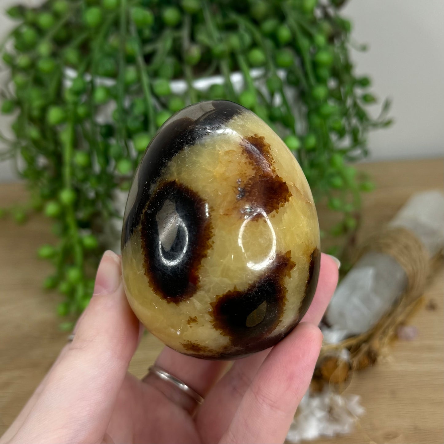 Septarian Egg (I349)