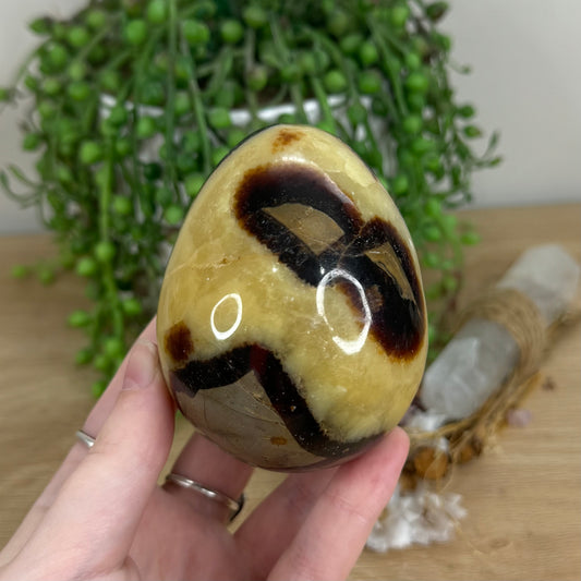 Septarian Egg (I351)