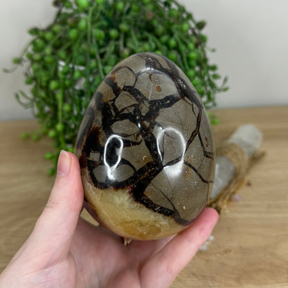 Septarian Egg (I353)