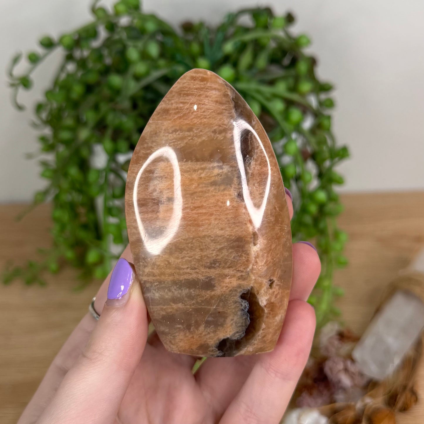 Peach Moonstone / Sunstone Arch Free Form (T310)