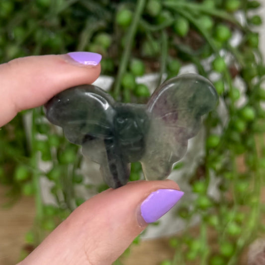 Fluorite Butterfly (T283)
