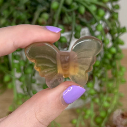 Fluorite Butterfly (T284)