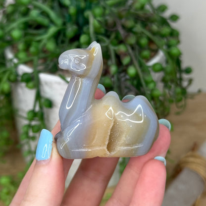 Druzy Agatę Camel (L415)
