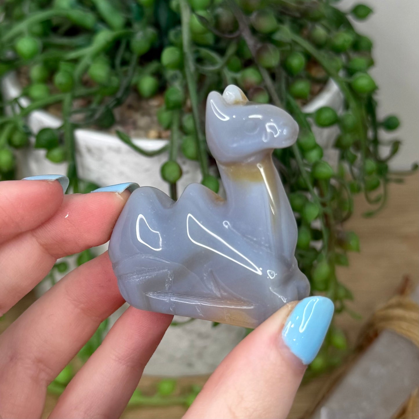 Druzy Agatę Camel (L415)