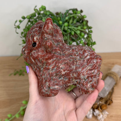 Red Sesame Highland Cow (T780)