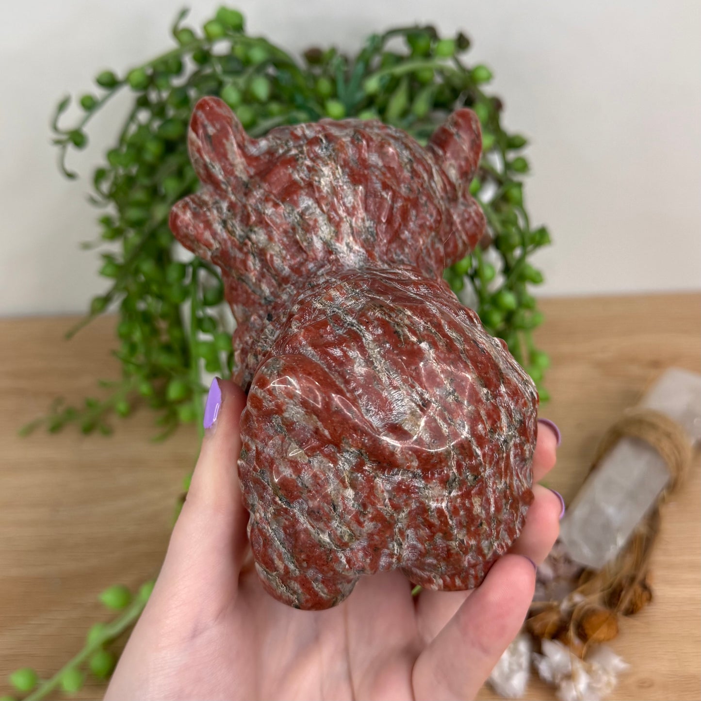 Red Sesame Highland Cow (T780)
