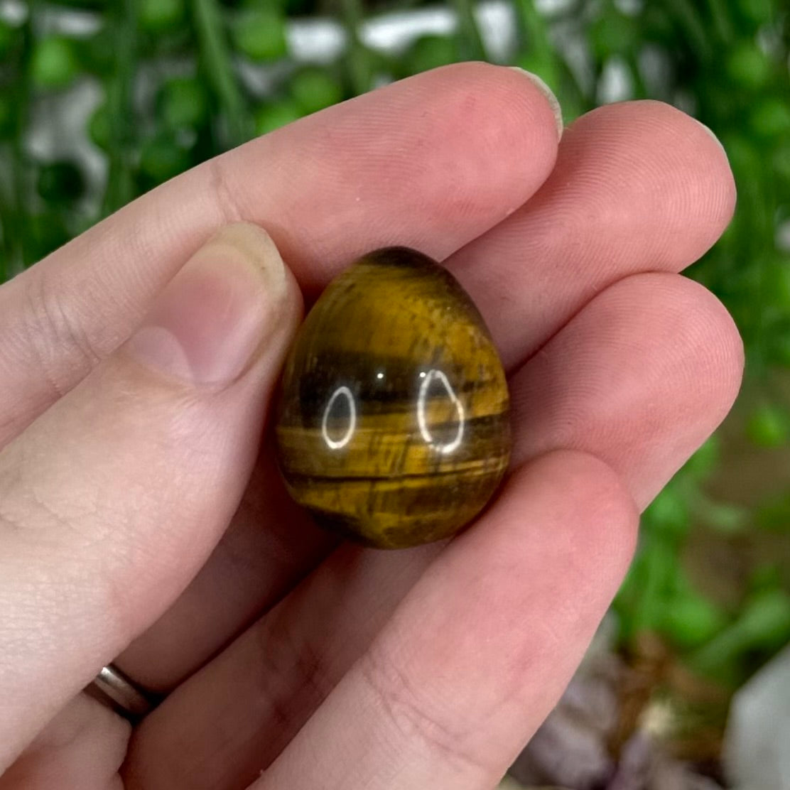 Tiger Eye Tiny Egg