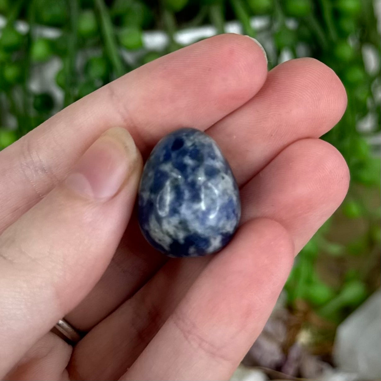 Blue Dot Tiny Egg