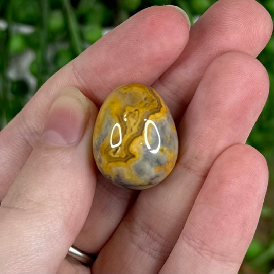 Crazy Lace Agate Tiny Egg 2