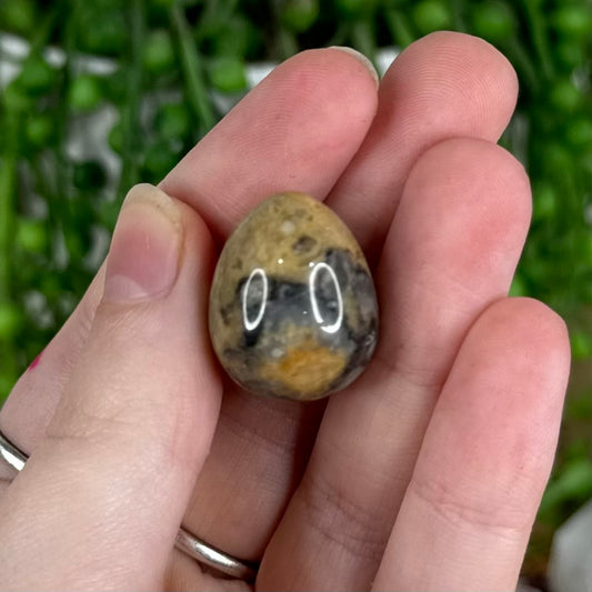 Crazy Lace Agate Tiny Egg 3