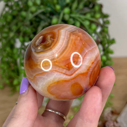 Carnelian Sphere (T695)