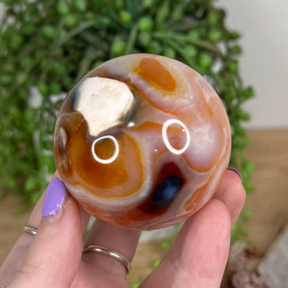 Carnelian Sphere (T695)