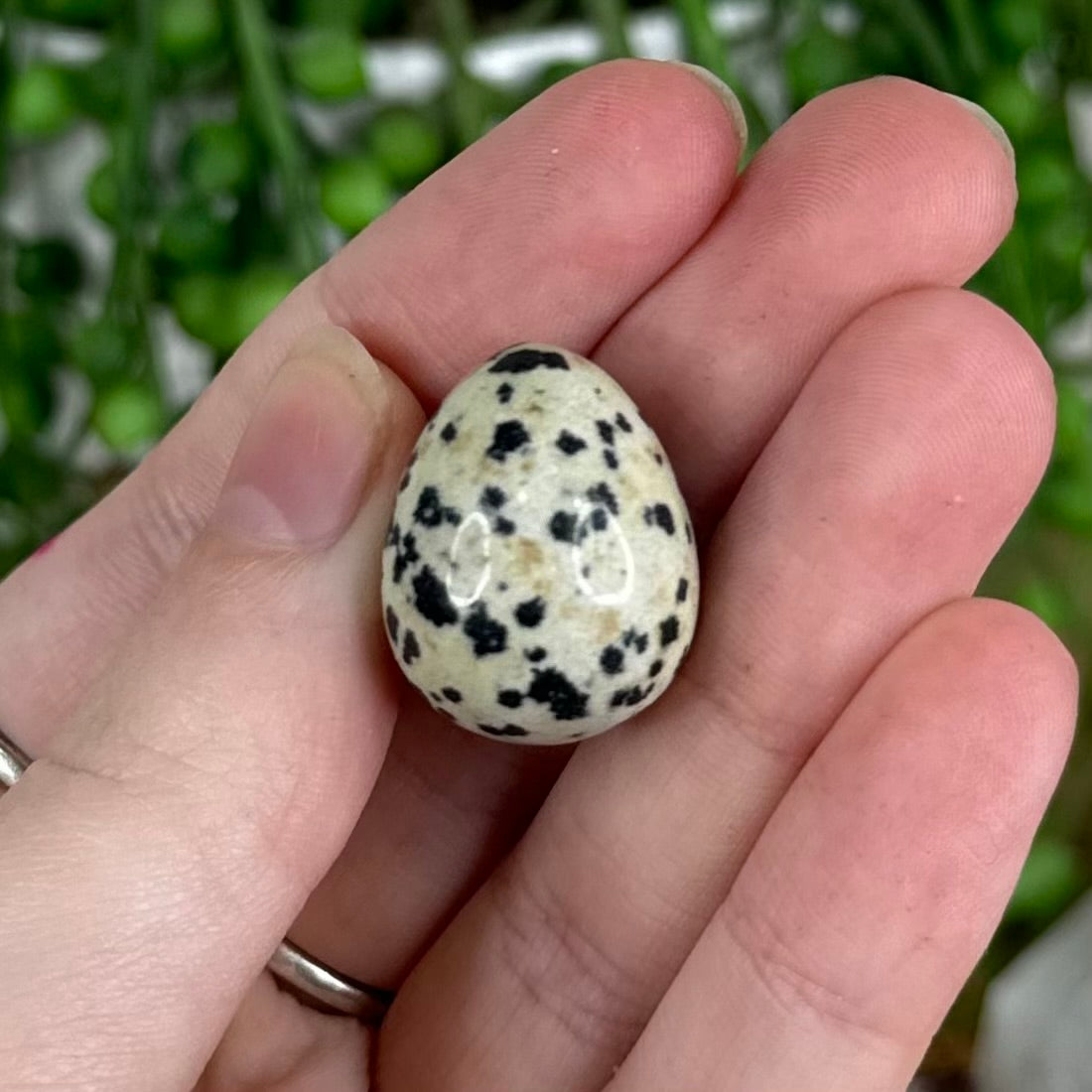 Dalmatian Jasper Tiny Egg