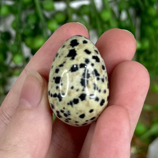 Dalmatian Jasper Mini Egg