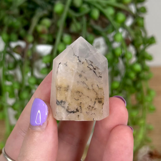 Dendrite In Quartz Point (T727)