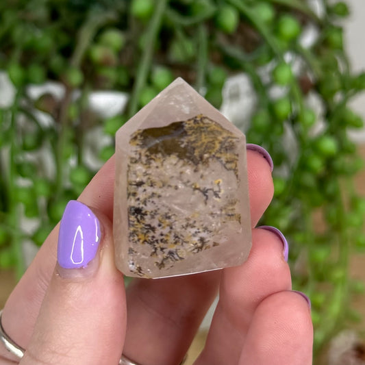 Dendrite In Quartz Point (T726)