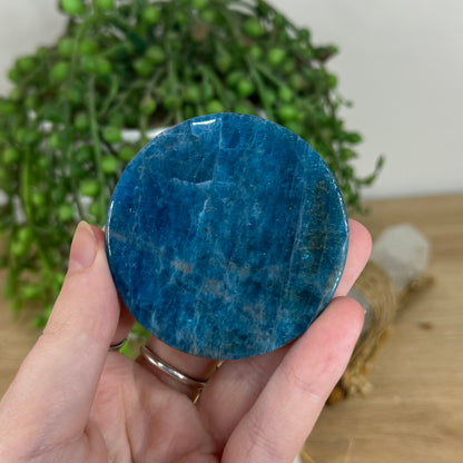 Blue Apatite Disc (P52)