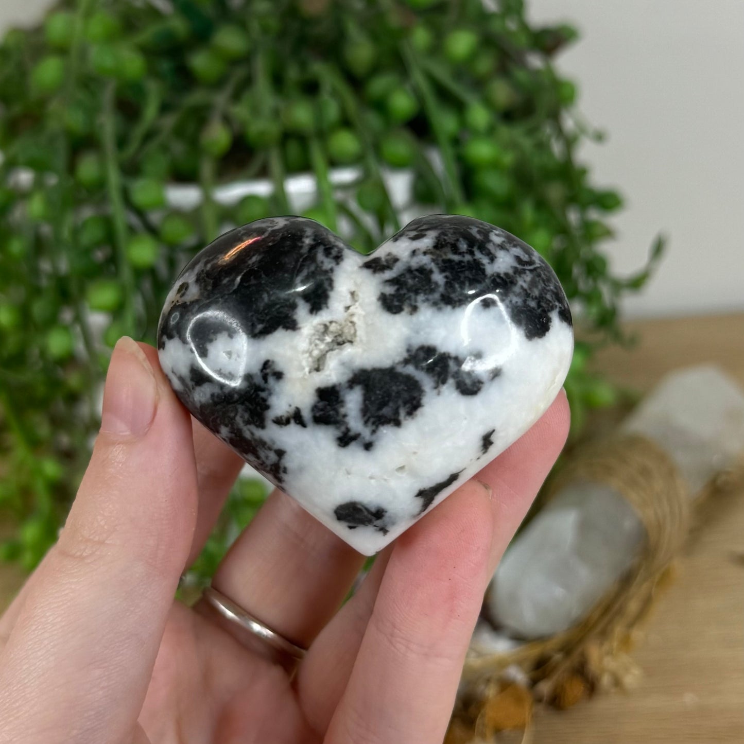 Black Zebra Jasper Heart (P58)