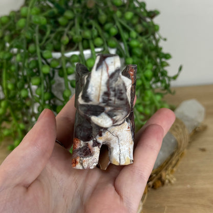 Mexican Crazy Lace Agate Elephant (O997)