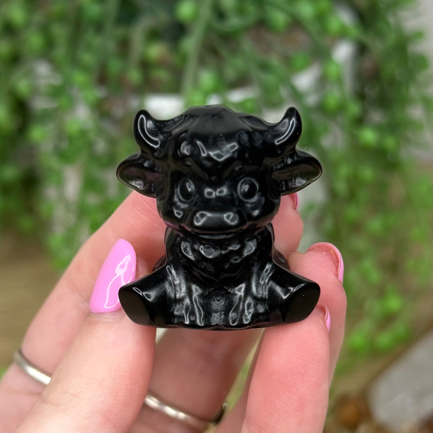 Black Obsidian Highland Cow (Z513)
