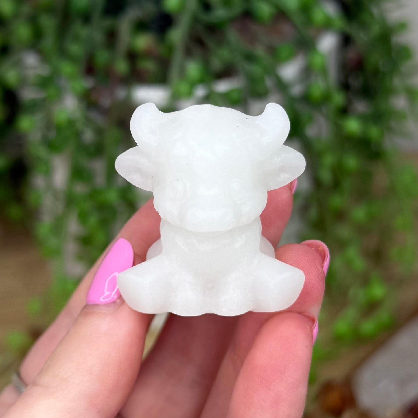 White Jade Highland Cow (Z510)